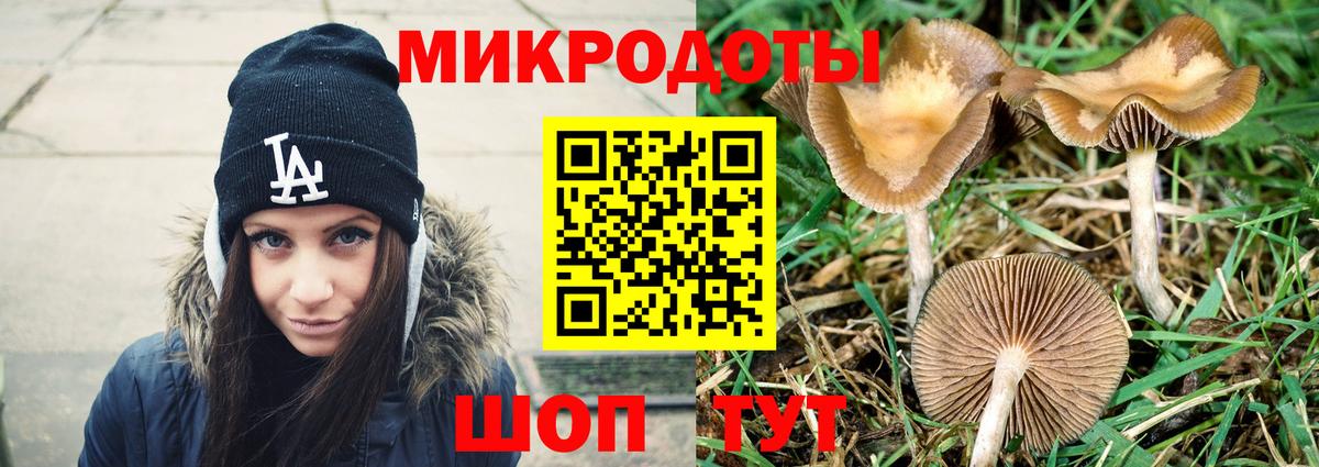 Галлюциногенные грибы GOLDEN TEACHER  Галлюциногенные грибы ЛСД  Вход с VPN  Моршанск 